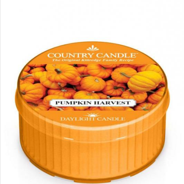  Country Candle - Pumpkin Harvest - Daylight (35g) Świeca zapachowa